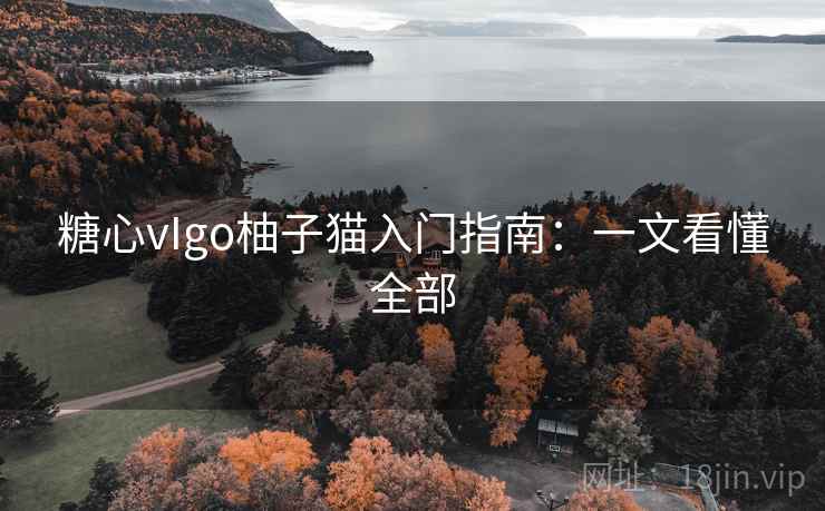 糖心vIgo柚子猫入门指南：一文看懂全部