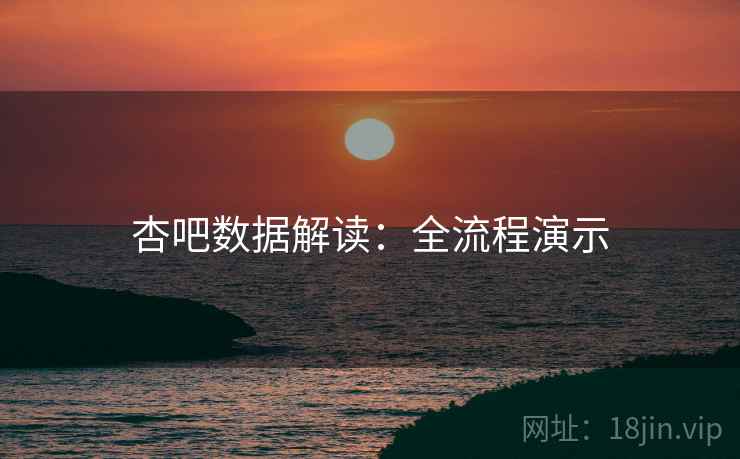 杏吧数据解读：全流程演示