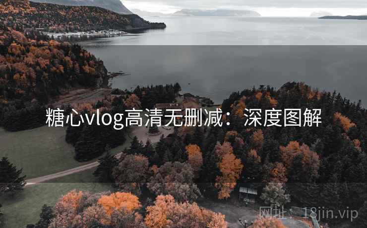 糖心vlog高清无删减：深度图解