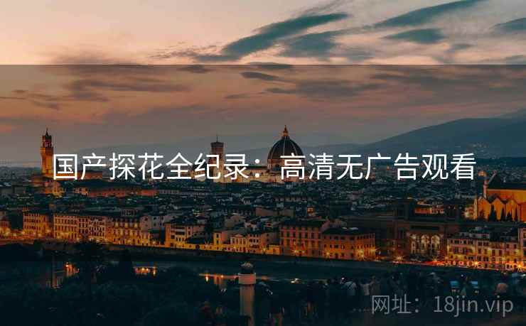 国产探花全纪录：高清无广告观看