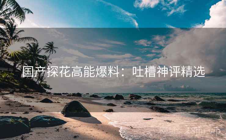 国产探花高能爆料：吐槽神评精选