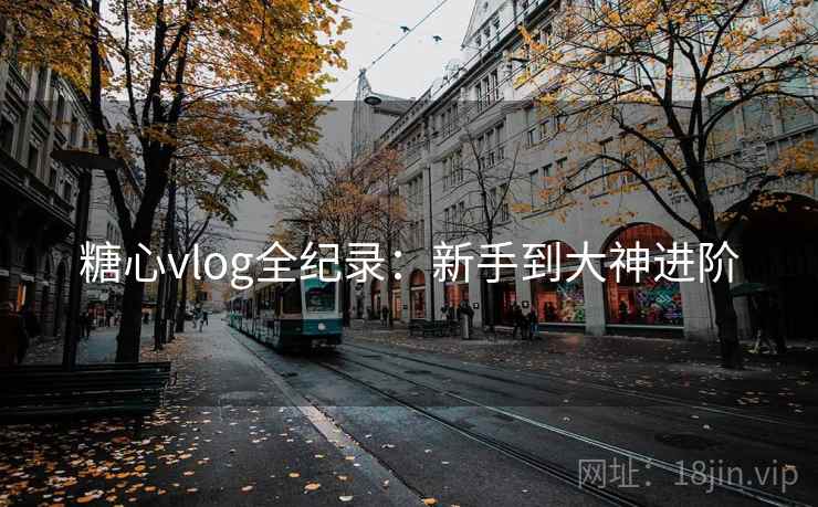 糖心vlog全纪录：新手到大神进阶