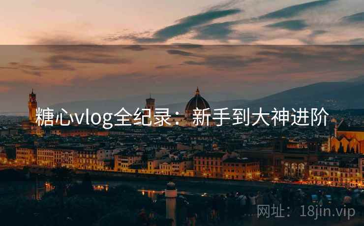 糖心vlog全纪录：新手到大神进阶