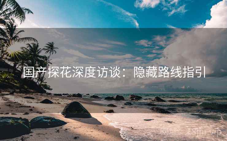 国产探花深度访谈：隐藏路线指引