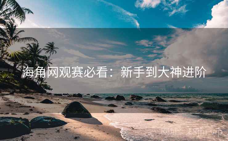 海角网观赛必看：新手到大神进阶