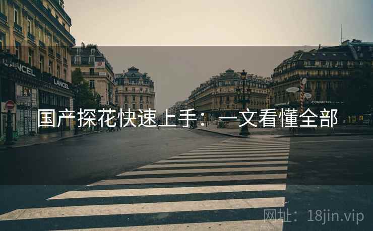 国产探花快速上手：一文看懂全部