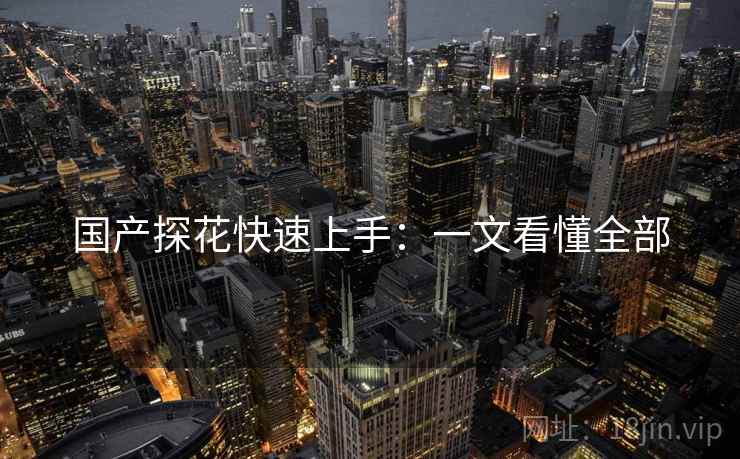国产探花快速上手：一文看懂全部
